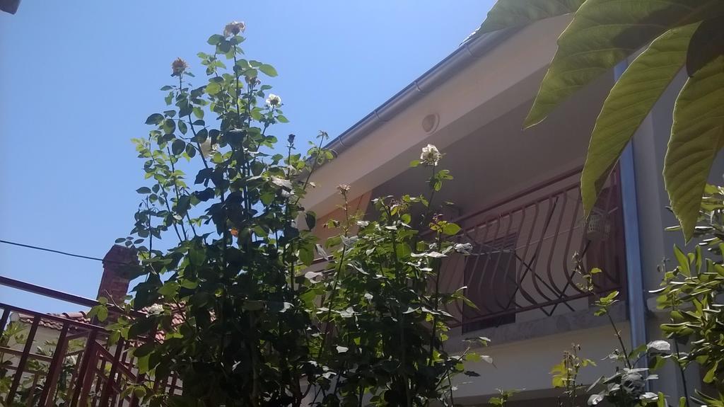 Apartment Cvita Biograd Na Moru Rom bilde